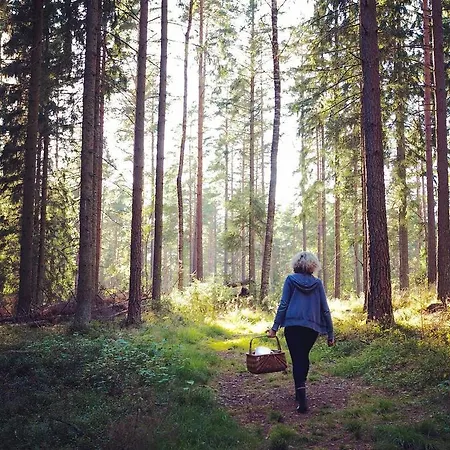 度假居 Lingonberry 拉塞博里