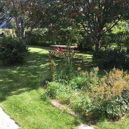 Lingonberry רסבורג