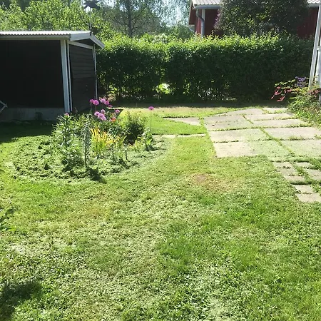 Lingonberry Raseborg