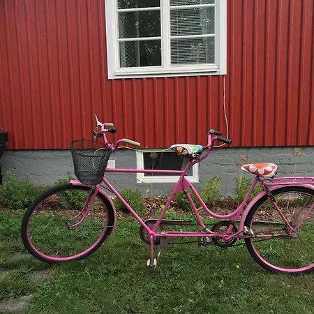 Lingonberry *
